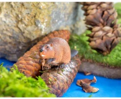 Tierfiguren - Nordamerikanische Tiere, 12 Teile, 2-7 Jahre
