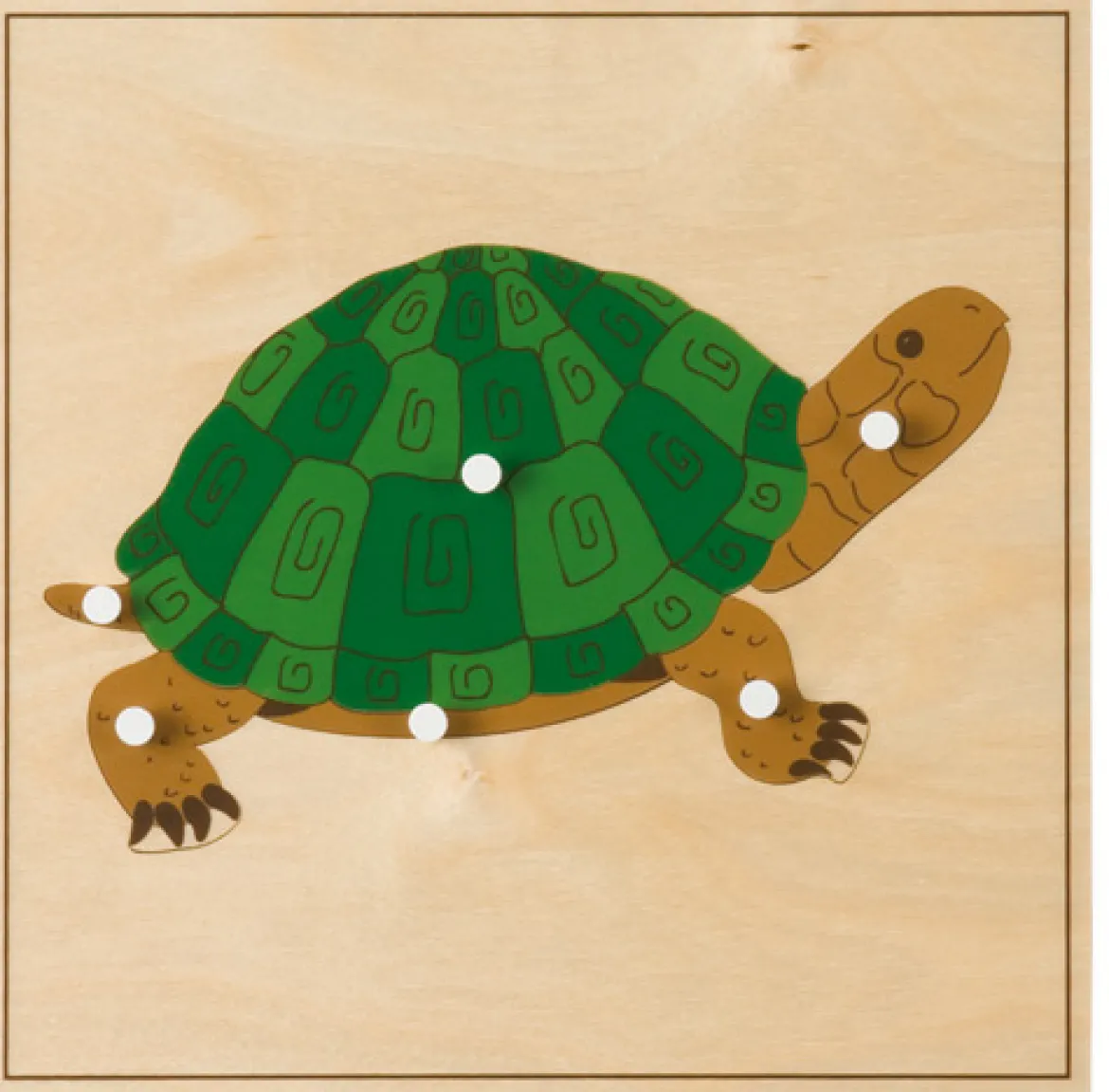 Tierpuzzles: Schildkröte