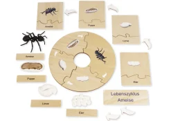 TimeTEX Lebenszyklus einer Ameise, Lernspiel in Holzbox
