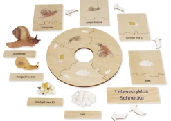 TimeTEX Lebenszyklus einer Schnecke, Lernspiel in Holzbox