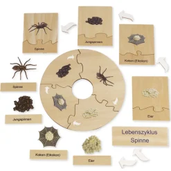 TimeTEX Lebenszyklus einer Spinne, Lernspiel in Holzbox