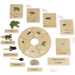 TimeTEX Lebenszyklus eines Frosches, Lernspiel in Holzbox