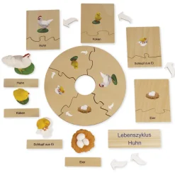 TimeTEX Lebenszyklus eines Huhns, Lernspiel in Holzbox