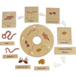 TimeTEX Lebenszyklus eines Regenwurms, Lernspiel in Holzbox