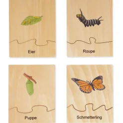 TimeTEX Lebenszyklus eines Schmetterlings, Lernspiel in Holzbox