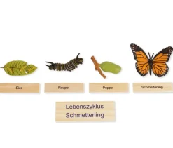 TimeTEX Lebenszyklus eines Schmetterlings, Lernspiel in Holzbox