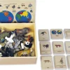 TimeTEX Tier-Kontinent-Box