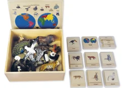 TimeTEX Tier-Kontinent-Box