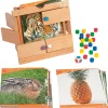 Versteckte Bilder: Naturfotos, magnetisches Ratespiel, ab 3 Jahre
