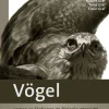 Vögel