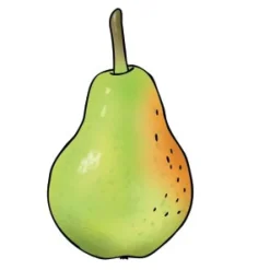 Vocabular Wortschatz-Bilder - Obst, Gemüse, Lebensmittel, Bilderbox, 3-99 Jahre