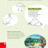 Vocabular Wortschatz-Bilder - Tiere, Pflanzen, Natur Kopiervorlagen zur Bilderbox