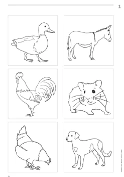 Vocabular Wortschatz-Bilder - Tiere, Pflanzen, Natur Kopiervorlagen zur Bilderbox