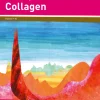 Vom Schnipsel zum Kunstwerk: Collagen