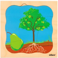 Wachstumspuzzle - Birne