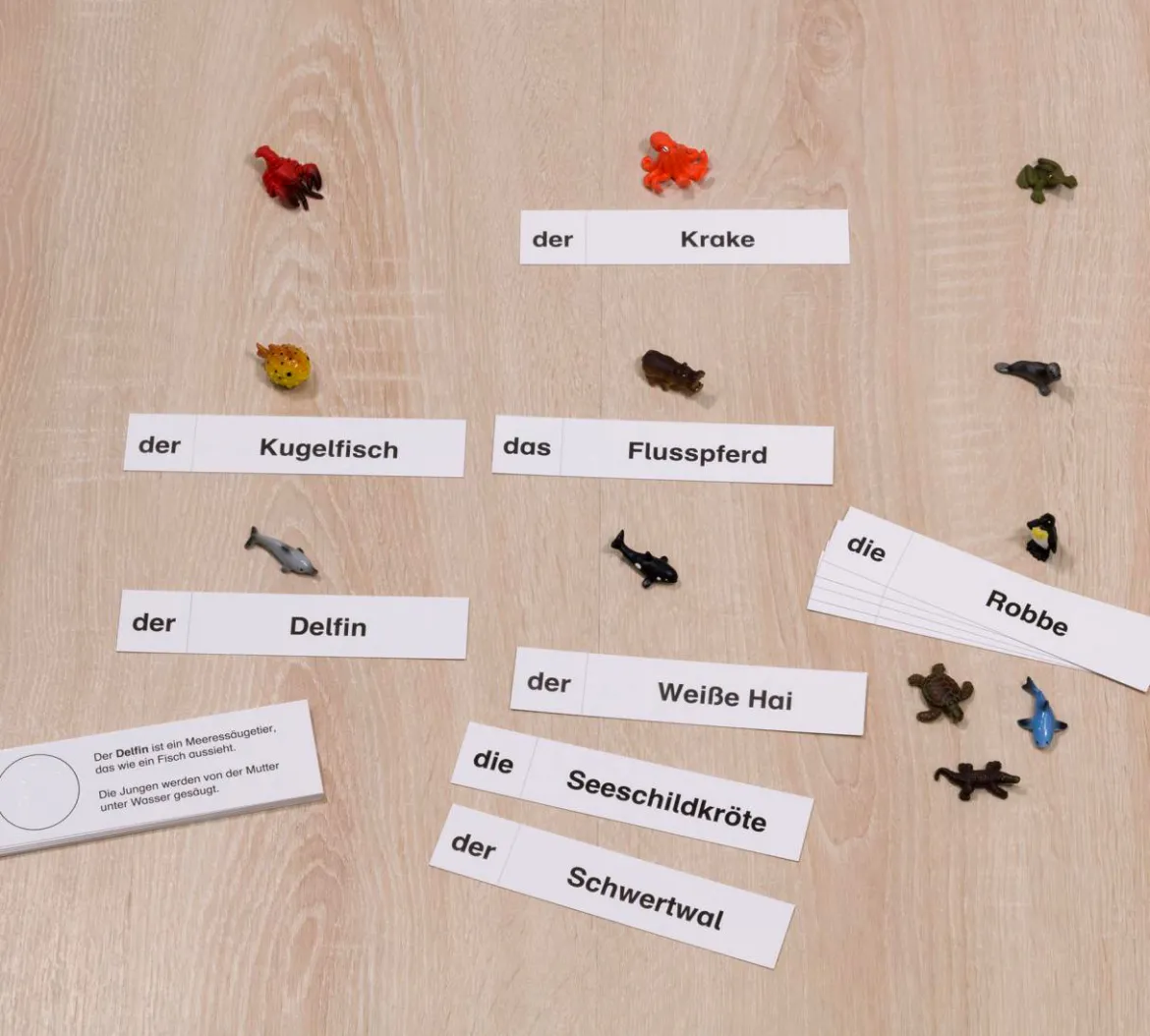 Wassertiere, Lesematerial, ab 1. Klasse