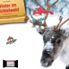 Winter im Wichtelwald. Kamishibai Bildkartenset, 2-4 Jahre