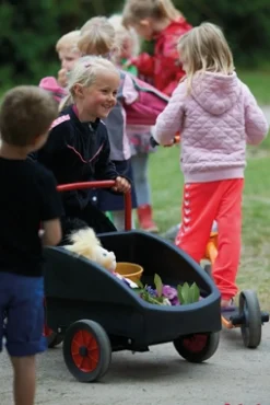 Winther Dreirad mit Transport-Box vorne, Kangaroo rot, 4-7 Jahre, VIKING Kinderfahrzeug