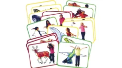 Yoga-Klassenset, 8 Gymnastikmatten, 2 Yoga-Kartensätze inkl. CD, ab 6 Jahre