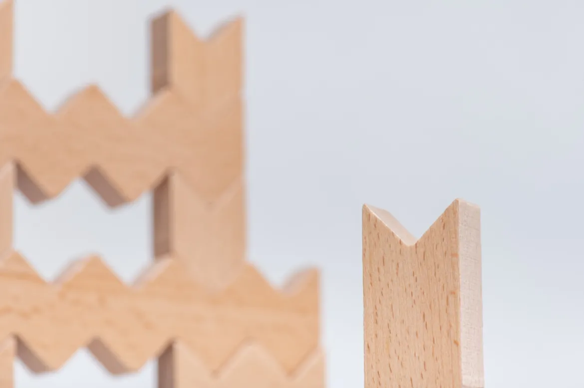 ZigZag Blocks, 30 Holzbausteine, ab 2 Jahre