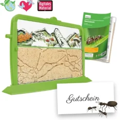 Zuchtset Ameisen, Gutschein-Set, 4 Teile