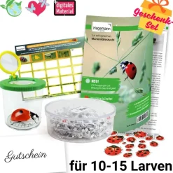 Zuchtset Marienkäfer, Gutschein-Set, kompakt, 5 Teile