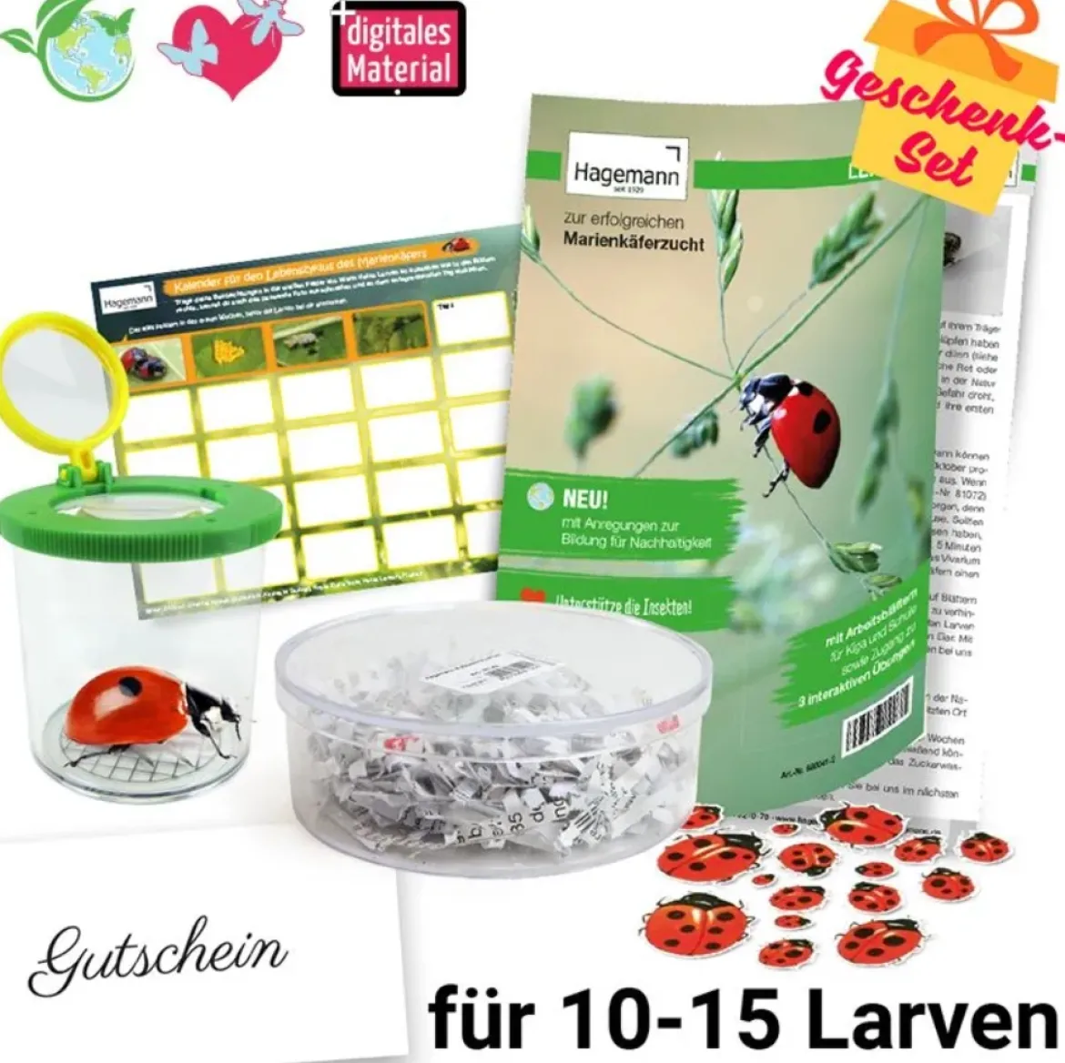 Zuchtset Marienkäfer, Gutschein-Set, kompakt, 5 Teile