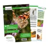 Zuchtset Schmetterlinge, Gutschein-Set, groß, 12 Teile