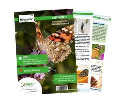 Zuchtset Schmetterlinge, Gutschein-Set, groß, 12 Teile