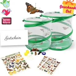 Zuchtset Schmetterlinge, Gutschein-Set, groß, 12 Teile