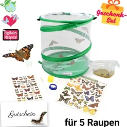 Zuchtset Schmetterlinge, Gutschein-Set, kompakt, 8 Teile