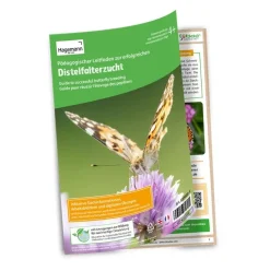 Zuchtset Schmetterlinge, Gutschein-Set, kompakt, 8 Teile