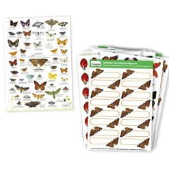 Zuchtset Schmetterlinge, Gutschein-Set, kompakt, 8 Teile