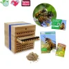 Zuchtset Wildbienen Gehörnte Mauerbiene, Gutschein-Set, 5 Teile