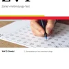 Z-V-T Manual