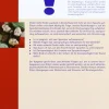Zweisprachigkeit/Bilingualität, Buch